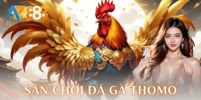 Đánh giá và trải nghiệm từ người chơi