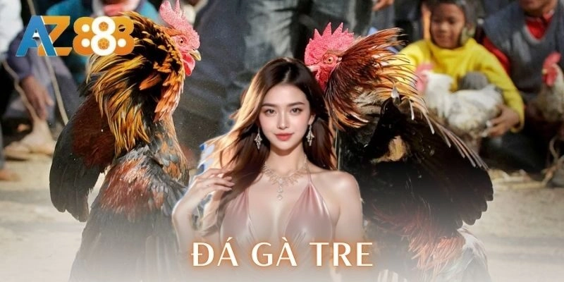 Kinh nghiệm chơi cá cược đá gà tre