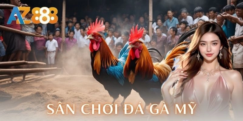 Luật pháp và an toàn khi tham gia